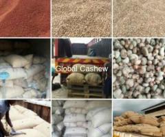 Raw cashew,processed cashew kernel,raw Sheanut