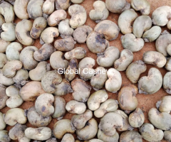 Ghana Raw Cashew Nuts - RCN from Ghana